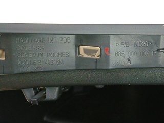 GUANTERA RENAULT MEGANE III COUPE F9QP8 681080020