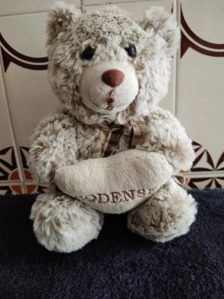 Peluche Osito Recuerdo Bodensee Corazón