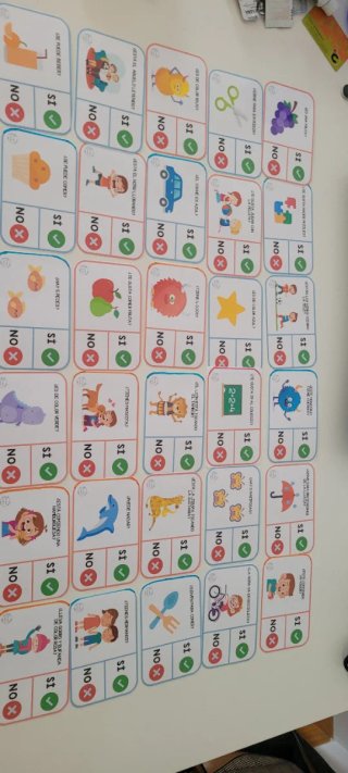 30 Fichas educativas Si/No