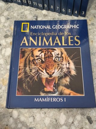 Enciclopedia de los animales Invertebrados