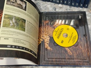 Enciclopedia de los animales Invertebrados