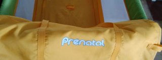 Cuna de viaje prenatal