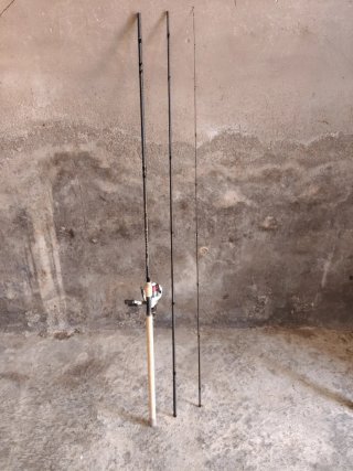 Cañas de pescar inglesas