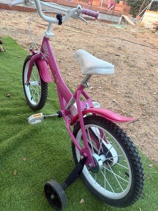 Bicicleta niña rosa con ruedines