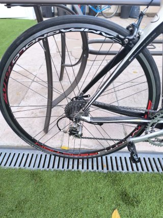 Orbea Orca Carbono T53 Campagnolo Chorus