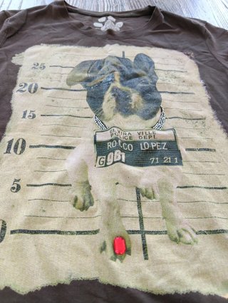 Camiseta Zara perro mugshot talla M