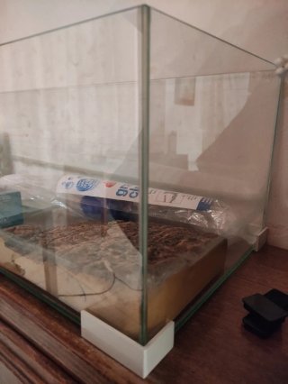 Tortuguero terrario cristal