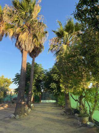 Noleggio giornaliero Piscina con Giardino e Barbecue