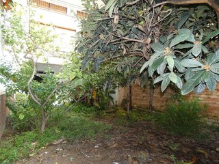 Local comercial en venta en Centre en Cornellà de Llobregat