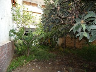 Local comercial en venta en Centre en Cornellà de Llobregat