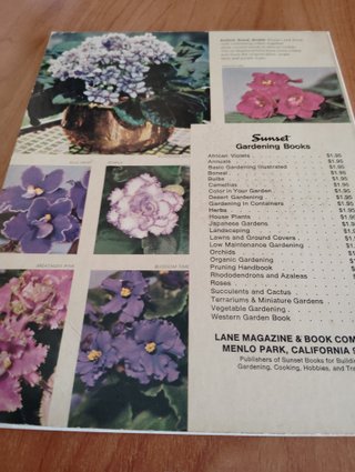 libro how to grow african violets en ingles