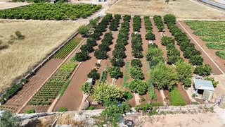 Solar en venta en Urbanizaciones en Llíria