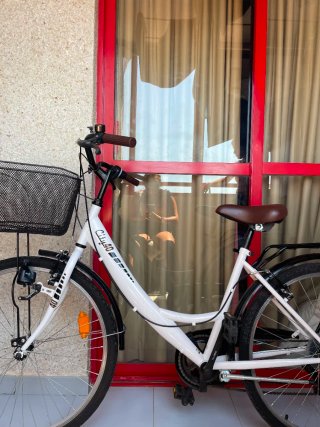 Bicicleta de paseo
