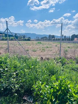 Terreno en venta en El Progreso en Murcia