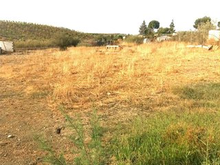 Terreno en venta en Diseminados en Cártama