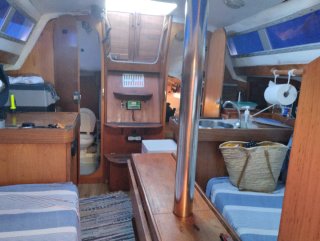 Vendo o cambio Velero Jeanneau Sun Dream 28