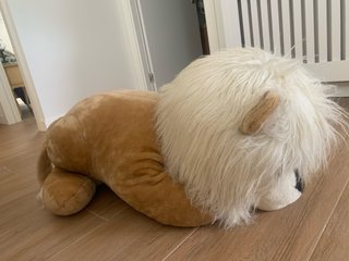 Lote 2 peluches: León y Pikachu