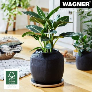 Soporte para plantas WAGNER