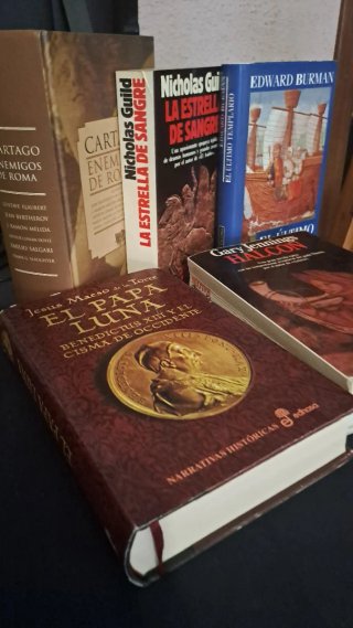 Lote libros novela histórica