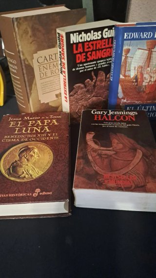 Lote libros novela histórica