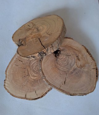 Madera Natural Rodajas de Olivo