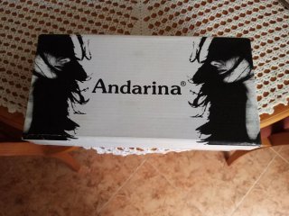 Sandalias Andarina Negras Flores.