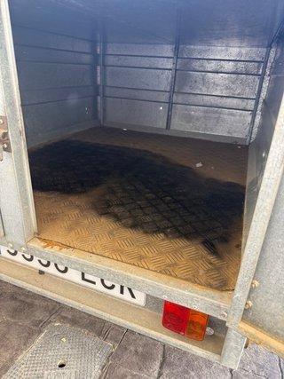 Remolque perros caza IR400 Rueda Grande