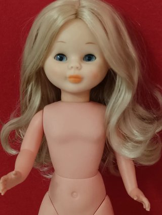 Nancy Articulada