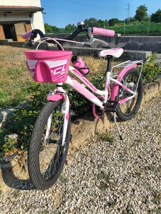Bici bambina ruota 20 rosa