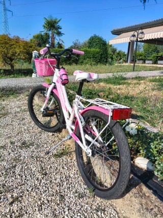 Bici bambina ruota 20 rosa