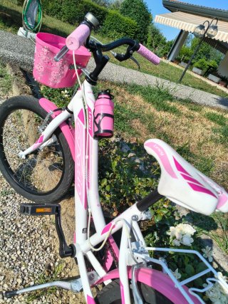 Bici bambina ruota 20 rosa