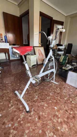 Bicicleta Estática Vintage BH