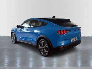 Ford Mustang Mach-E Base RWD Rango Estánd. (Bat. LFP) 198kW