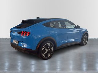 Ford Mustang Mach-E Base RWD Rango Estánd. (Bat. LFP) 198kW