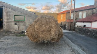 Rollos de hierba seca para camas