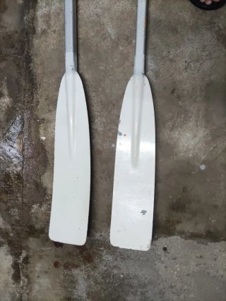Un par de remos aluminio perfecto estado