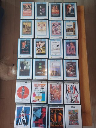 DVD a partir de 2,50 euros unidad