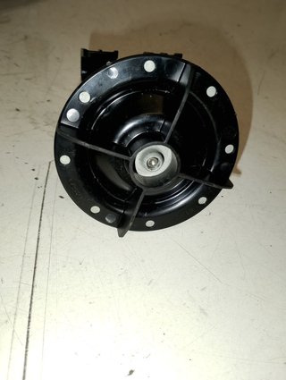 GATO FORD FOCUS TURNIER TREND EDITION 1.5 ECOBLUE TDCI CAT