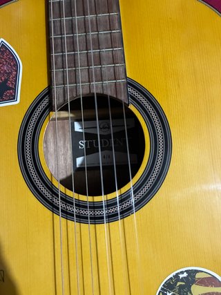 Guitarra Española VGS