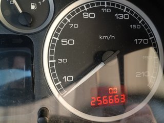 Peugeot 307 1.6 110 CV Gasolina - Distintivo B