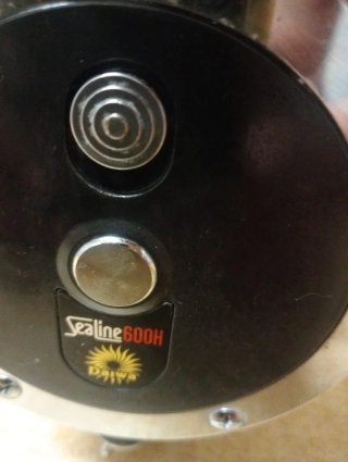 Carrete Daiwa Sealine 600H