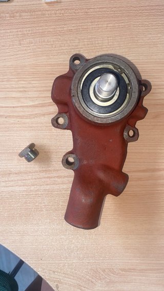 Bomba de agua DZP-359