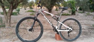Bicicleta Focus Super Bud