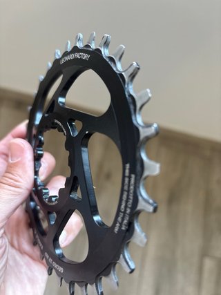 Plato Leonardi Factory Gecko  SRAM GXP S6 32T .