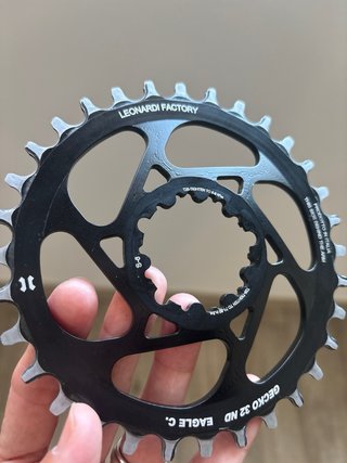 Plato Leonardi Factory Gecko  SRAM GXP S6 32T .