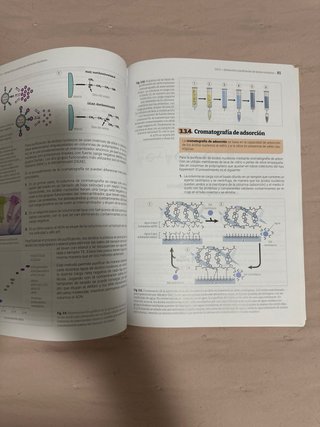 Biología molecular y citogenética