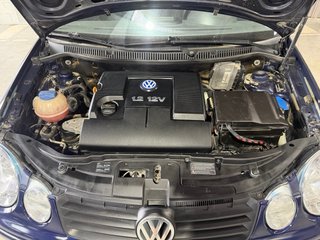 Volkswagen Polo 1.2cc Conceptline 65cv 2003 5p.