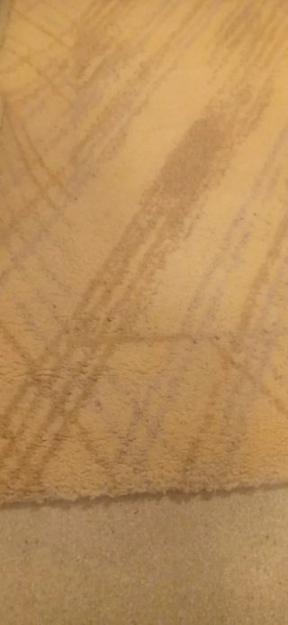 Alfombra beige 100% de lana