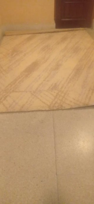 Alfombra beige 100% de lana