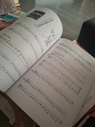 Libro La Flauta Dolça (I) - Música Infantil